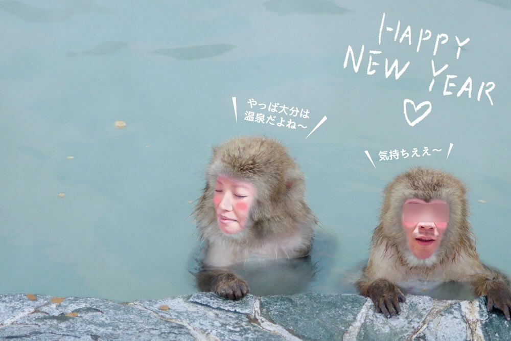 2016年の年賀状はお猿さんに顔ハメ